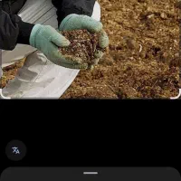 کود کبوتر|لوازم جانبی حیوانات|اهواز, زرگان|دیوار