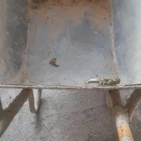 فرغون