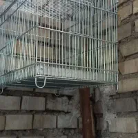 قفس سهره