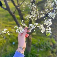 استخدام نیروی آنلاین و حضوری