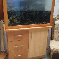 اکواریوم