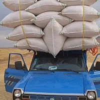 فروش کاه گندم