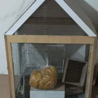 قفس پرنده|لوازم جانبی حیوانات|قوچان, |دیوار