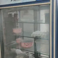 یخچال صنعتی  دو درب