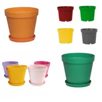 گلدان پاچیرا پلاستیک ژله ای پتوس سانسوریا خاک ورمی