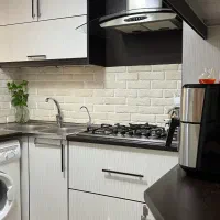 سینک دو لگنه