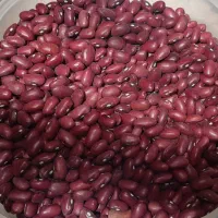 لوبیا قرمز  زود پز