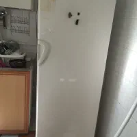 یخچال|یخچال و فریزر|رودهن, |دیوار