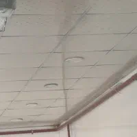 تعداد ۲۰ عدد لامپ هالوژن سقفی تو کار|لامپ و چراغ|نیشابور, دارایی|دیوار