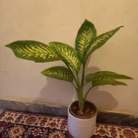 گلدون سرامیکی