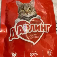 غذای گربه روسی گوشت گاو