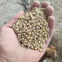 دانه پارس|عمده‌فروشی|آق قلا, |دیوار