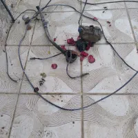 کپسول سی ان جی|قطعات یدکی و لوازم جانبی|فامنین, |دیوار