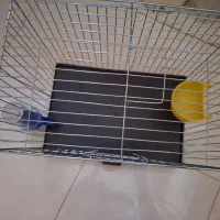 قفس پرنده