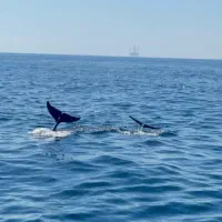 تور ترکیبی جزیره قشم و هرمز و هنگام|تور و چارتر|سبزوار, توحیدشهر|دیوار