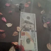 دلار تزئینات ی کلکسیونی