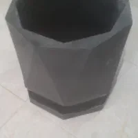 دو عدد گلدان|گل و گیاه طبیعی|بندر انزلی, عباس آباد|دیوار