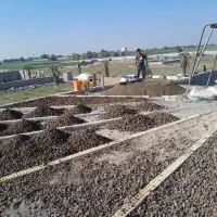 بنا|خدمات پیشه و مهارت|دزفول, |دیوار