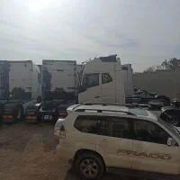 اف اچ رنو داف