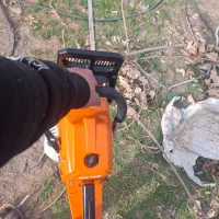 خرید درختان باغی و چوب خانه قدیمی|خدمات باغبانی و درختکاری|نیشابور, خط کاشمر|دیوار