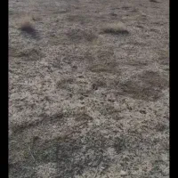 فروش زمین ویلایی اسپیران آقداش