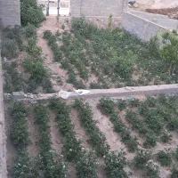 فروش|فروش خانه و ویلا|نائین, |دیوار