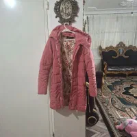 پالتو وکارشناسی درحده واقعا نونو