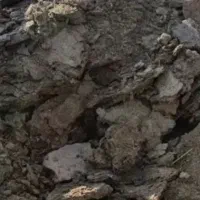 کرمه کود حیوانی گوسفندی