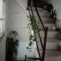 منزل دربست رهن و اجاره|اجارهٔ آپارتمان|مشهد, مشهدقلی|دیوار