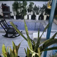 خانه-ویلایی