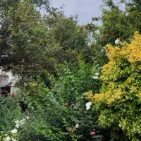 کلاسنگیان خونه ویلایی ۴۰۰متری