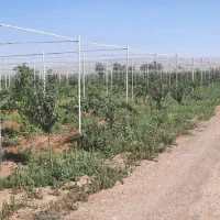 فروش و معاوضه باغ ۳۲۵۰۰ متری ، جنب اتوبان زنجان