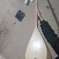 یک عدد تار فروشی ‌