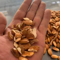 بادام شیرین|خوردنی و آشامیدنی|شیراز, گویم|دیوار