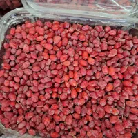 زرشک دانه تازه امسالی