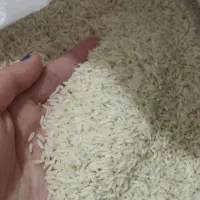 برنج