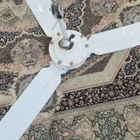پنکه سقفی سفید|پنکه و تصفیه‌کنندهٔ هوا|زاهدان, |دیوار
