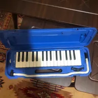 ملودیکا