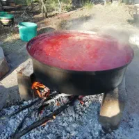 رب خانگی درجه یک