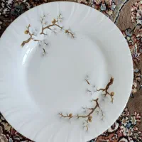 ظروف غذاخوری ۶نفره.چینی|ظروف سرو و پذیرایی|سنندج, |دیوار