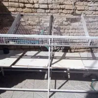 دکوراسیون میوه فروشی