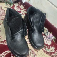 کفش نو نو|کیف، کفش، کمربند|قم, باغ شریفی|دیوار