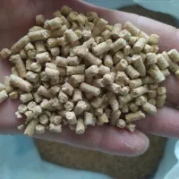 دانه پارس.استارتر پیش دان میان دان پس دان