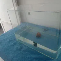 آکواریوم نو