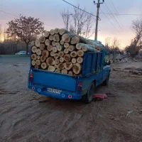 خرید انواع چوب جنگلی