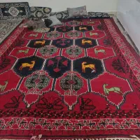در حد نو
