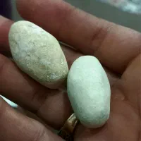 مهره قیمتی|کلکسیون اشیاء عتیقه|دره شهر, |دیوار