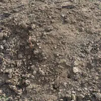 زمین کشاورزی5 میلومتری رزن بحر جاده اصلی همدان رزن