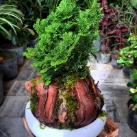 حراجی واقعی فقط و فقط ۱۹۵ هزار تومان