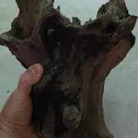 چوب آبنوس|ماهی|تهران, جنتآباد مرکزی|دیوار